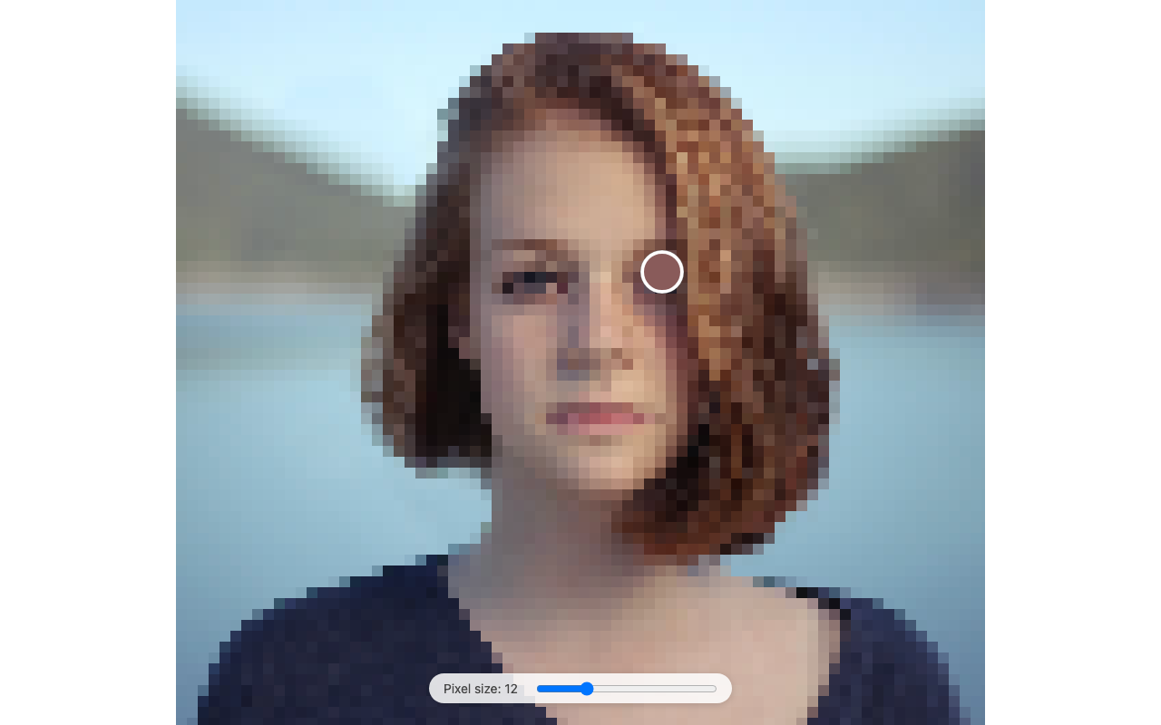 A portrait rebuilt from blocks of colour